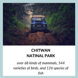 Chitwan National Park